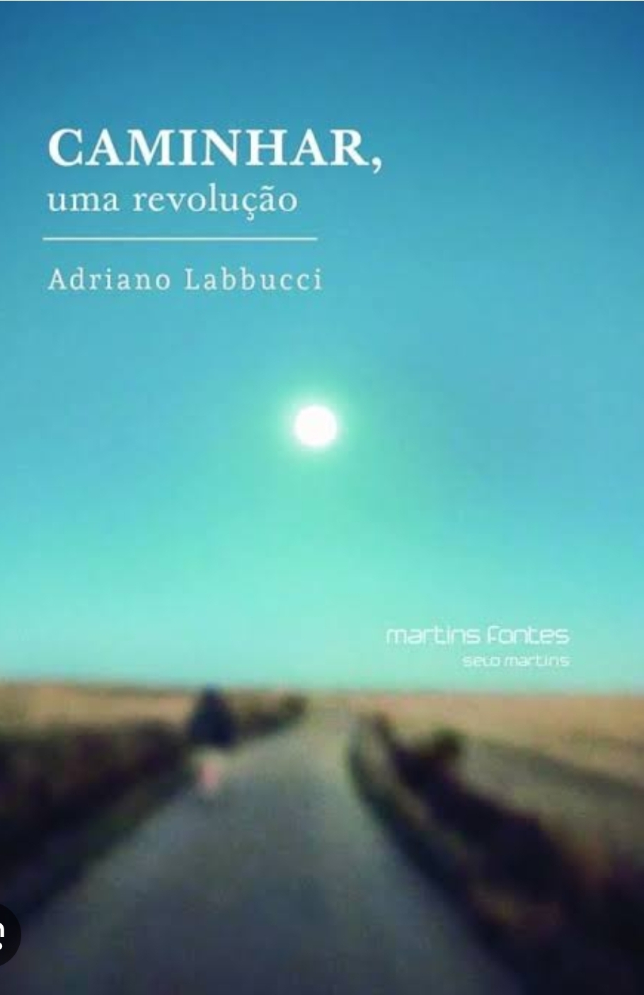 Adriano Labucci: Caminhar, uma revolução (Paperback, Português language, Martins Fontes)